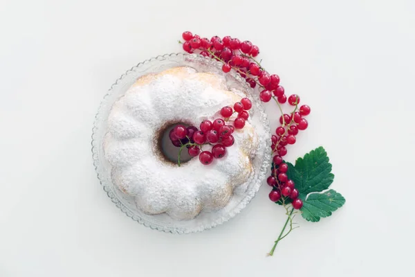 Zelfgemaakte taart met rode bessen in een plaat geïsoleerd op een witte achtergrond — Stockfoto