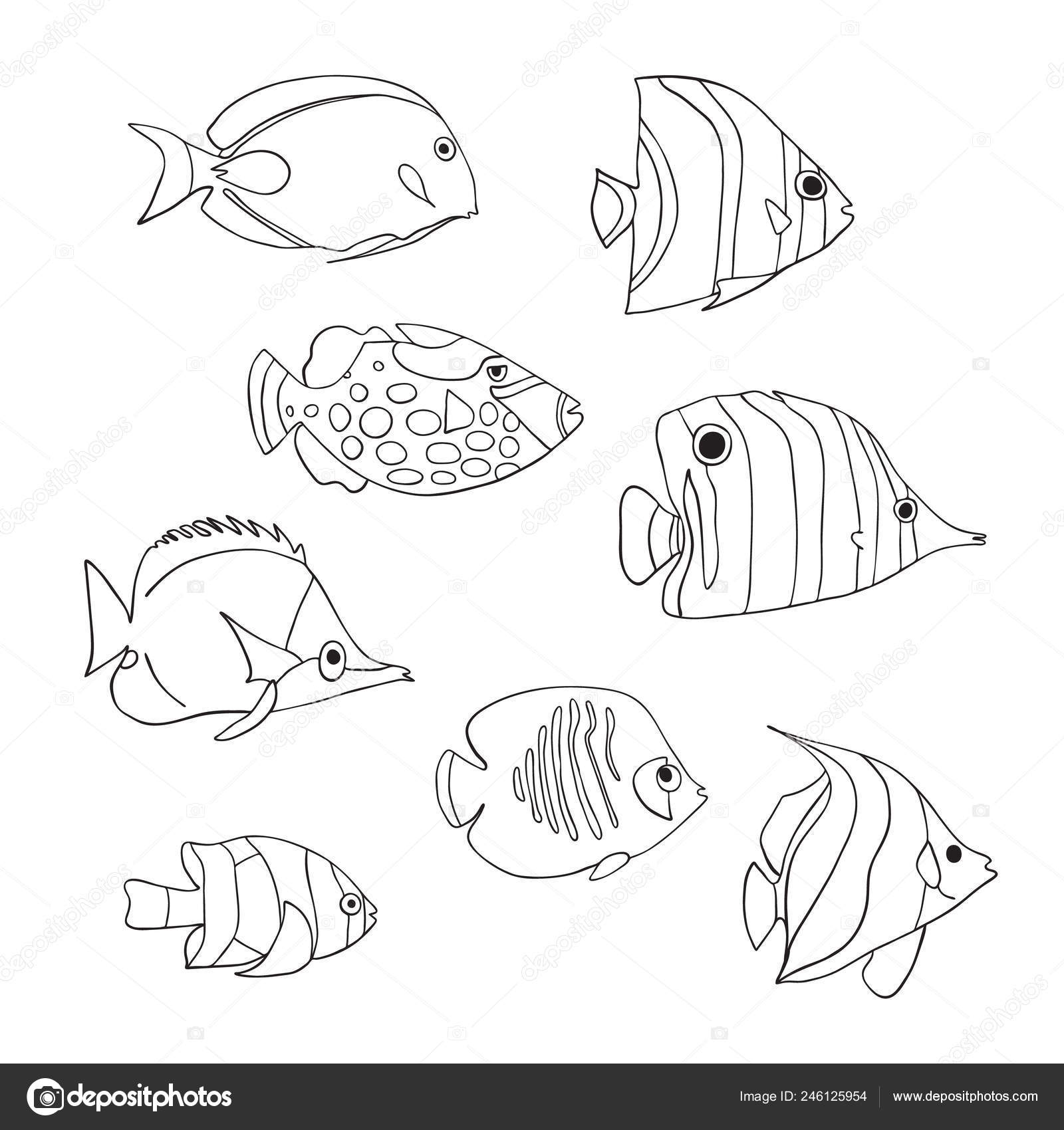 Tropical Fish Icon Set Vector Isolated Characters Butterflyfish Clown Triggerfish Damsel Anemonefish Angelfish Clownfish Black White Hand Drawn Marine Underwater Doodle Animals Coloring Book Vector Image By C Studio Sandrahutter Com Vector
