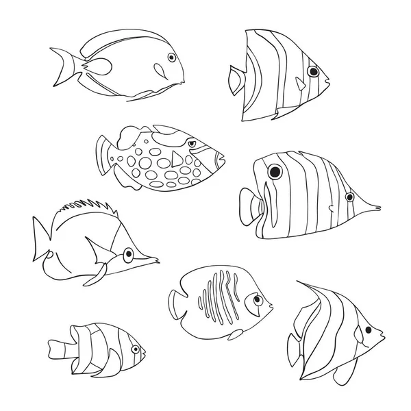 Set di icone di pesci tropicali. Caratteri isolati dal vettore. Pesce farfalla, Clown Triggerfish, Damigella, Anemonefish, Angelfish, Clownfish bianco nero. Animali scarabocchi marini subacquei disegnati a mano. Libro da colorare — Vettoriale Stock