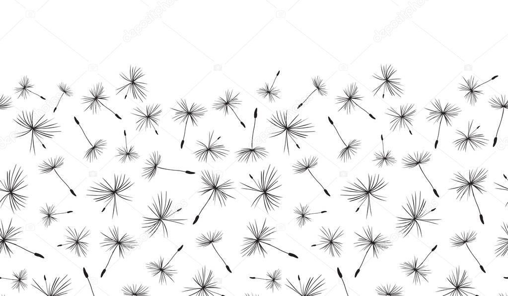 Black and white Dandelion seeds seamless vector border repeat 