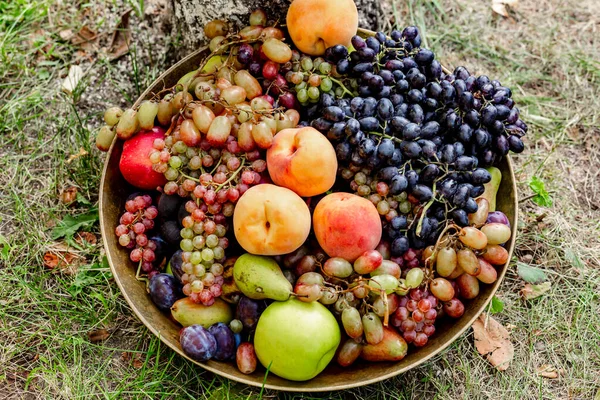 Bowl Fresh Fruits Autumn Mood — Stock Photo, Image