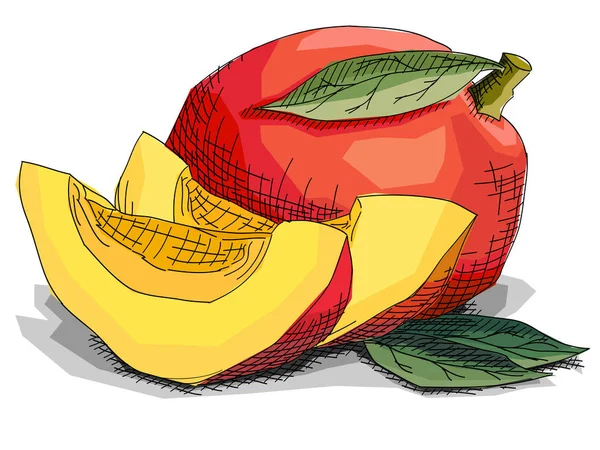 Ilustración Vectorial Boceto Artes Gráficas Dibujar Mangos Frutas Con Rodajas — Archivo Imágenes Vectoriales