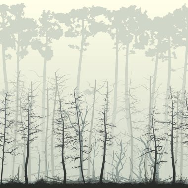 Bataklık orman birçok ağaç gövdeleri (iğne yapraklı, deadwood, dalgaların karaya attığı odun ile kare gösterimi).