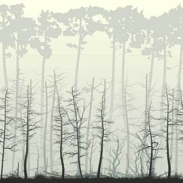 Quadratische Darstellung Eines Sumpfwaldes Mit Vielen Baumstämmen Nadelholz Totholz Treibholz — Stockvektor