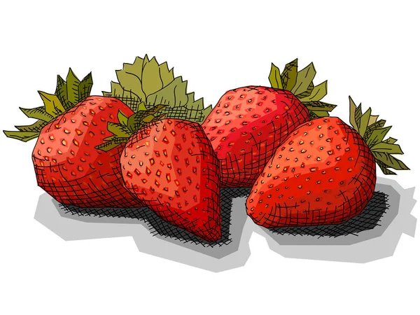 Vektor Illustration Grafik Skizze Der Zeichnung Erdbeeren Mit Blatt — Stockvektor