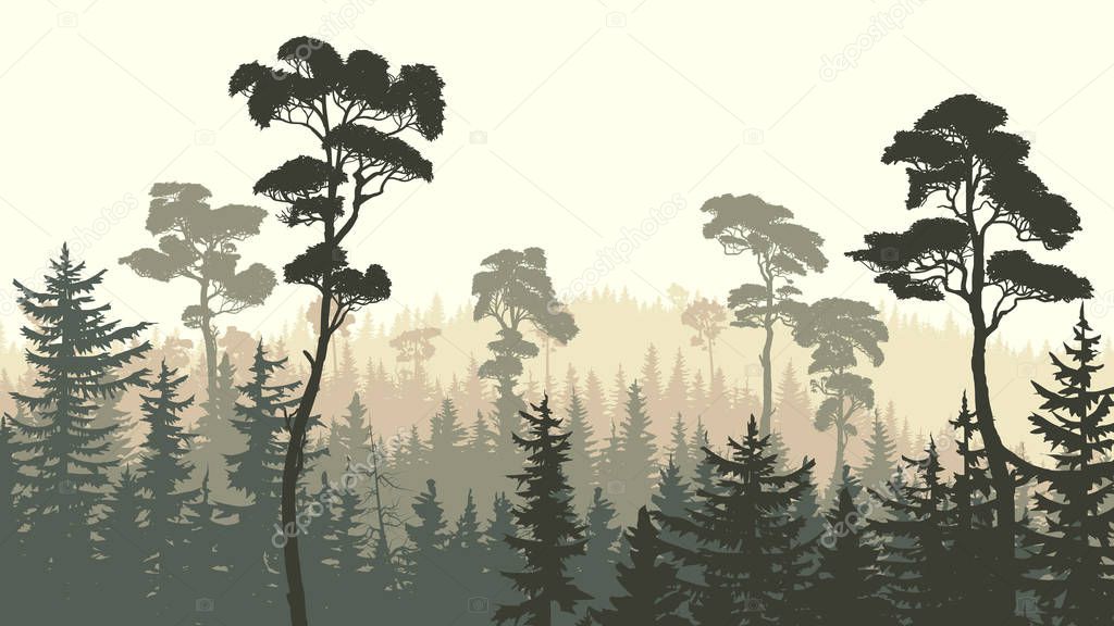 Horizontal green brown illustration of coniferous forest (spruce, pine).