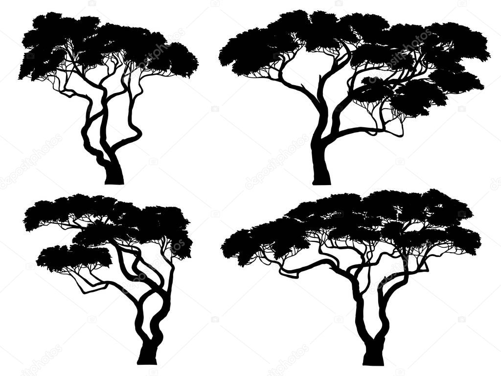 Download Set Vector Silhouettes African Acacia Trees — Stock Vector ...