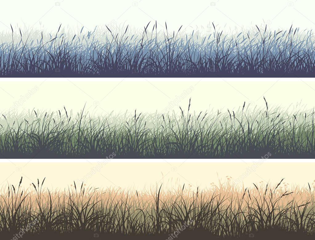 Set of horizontal color banners of grassland meadow with high grass.