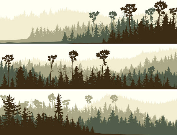 Set of horizontal banners of coniferous dark green forest valley.