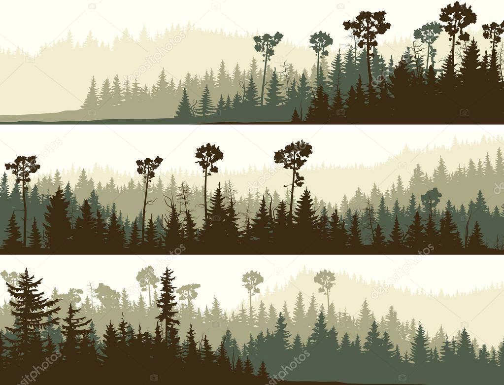 Set of horizontal banners of coniferous dark green forest valley.