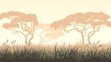 Afrika manzara, çayır çimen ve akasya pastel yatay illüstrasyon vektör.