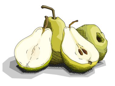 Meyve yeşil Armut tatlısı ile çizim vektör çizim grafik sanatlar kroki.