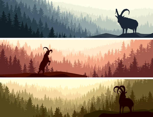 Set Horizontal Banners Mountain Goats Coniferous Forest Hills — Stock Vector