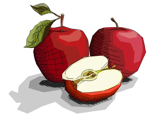 Ilustracja Wektorowa Szkic Czerwone Jabłka Owoce Połową — Wektor stockowy