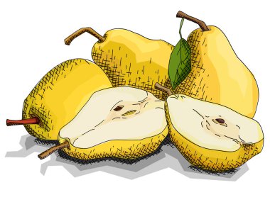 Meyve sarı armut tatlısı ile çizim vektör illüstrasyon kroki.