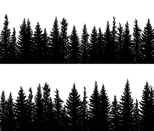 Set of vector horizontal banner silhouettes of coniferous treetops forest (spruce,fir, fir-tree).