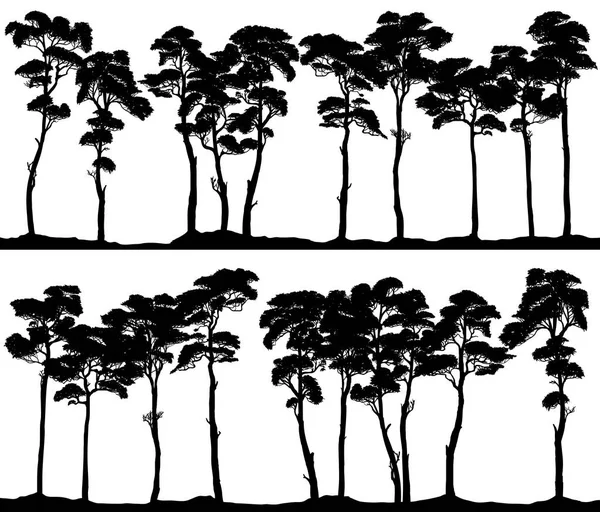 Conjunto Siluetas Banner Horizontales Vectoriales Bosque Coníferas Pino Cedro Secuoyas — Archivo Imágenes Vectoriales