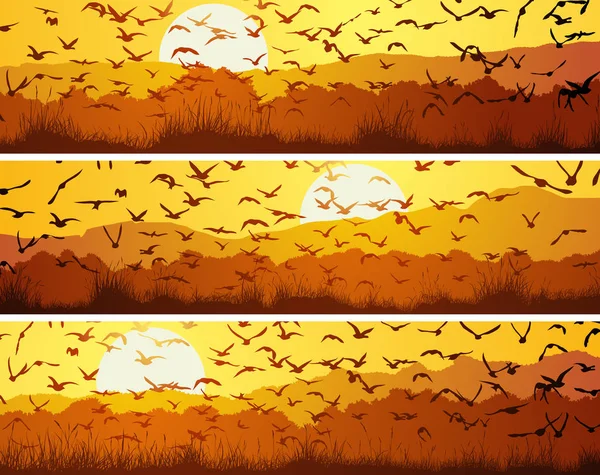 Uppsättning Horisontella Banners Med Flock Fåglar Vid Solnedgången Över Äng — Stock vektor