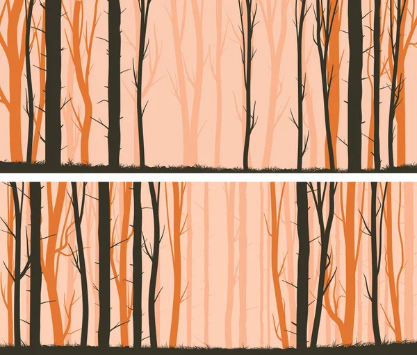 Horizontal wide banners pine with trunks and grass at sunset. — Stock Vector