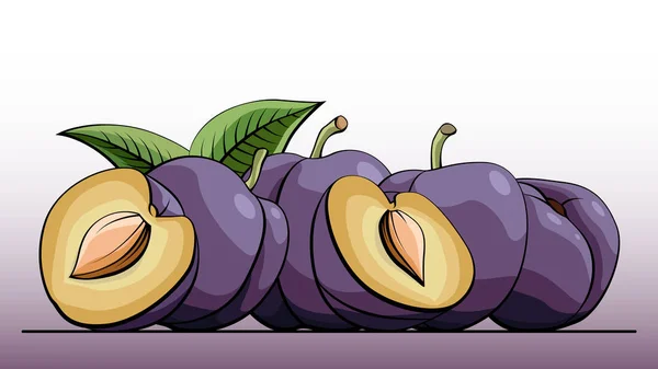 Illustration vectorielle de prunes aux fruits avec moitiés en ligne . — Image vectorielle