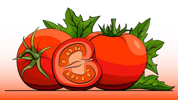 Vector illustration of fruit red tomatoes on line. — Stock Vector