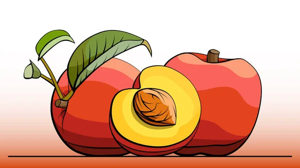 Ilustración vectorial de melocotones de frutas en línea . — Vector de stock