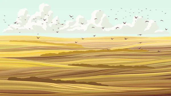 Vetor ilustração abstrata do campo de outono e céu . — Vetor de Stock