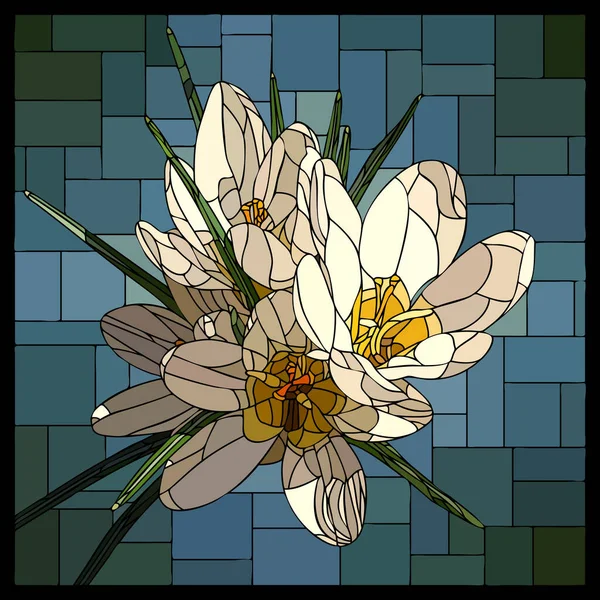 Vektorquadratisches Mosaik Mit Blühenden Weißen Krokussen Glasfenster — Stockvektor