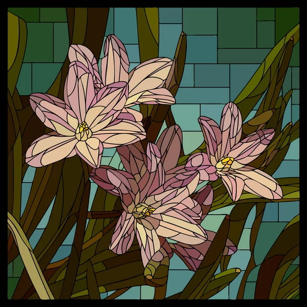 Vektorquadratisches Mosaik Mit Blühender Rosa Chionodoxa Blume Glasfenster — Stockvektor