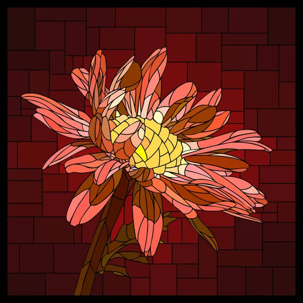 Wektor Kwadratowa Mozaika Kwitnącym Czerwonym Pyrethrum Kwiat Witrażu — Wektor stockowy