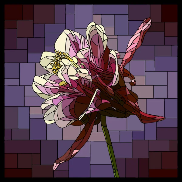 Vektor Négyzet Mozaik Virágzó Lila Aquilegia Virág Festett Üveg Ablakban — Stock Vector