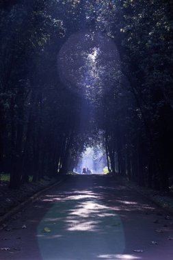 Jakarta'da çocuk oyun ve sanat şenlikli bazı editoryal olaylar 