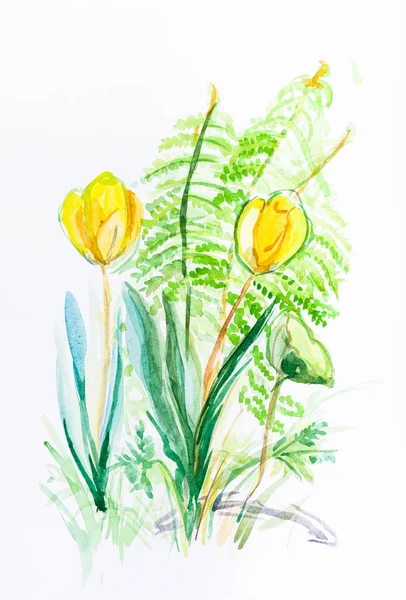 Tulipa Amarela Com Samambaia Verde — Fotografia de Stock