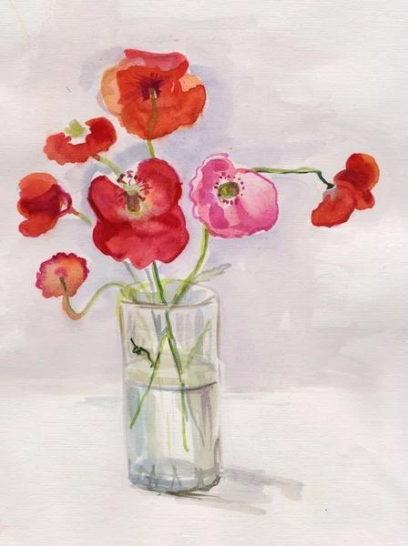 Field Red Poppies Glass — Stock Photo, Image