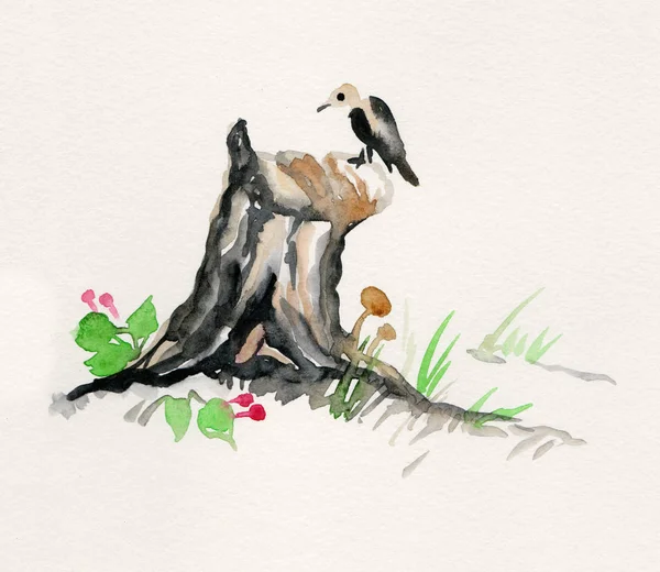 桦木存根与蘑菇和鸟 — 图库照片