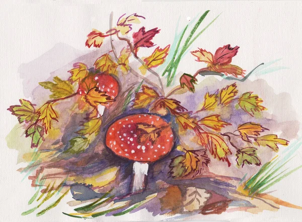 Autumn drawing, mushrooms  fly agaric near yellow bush