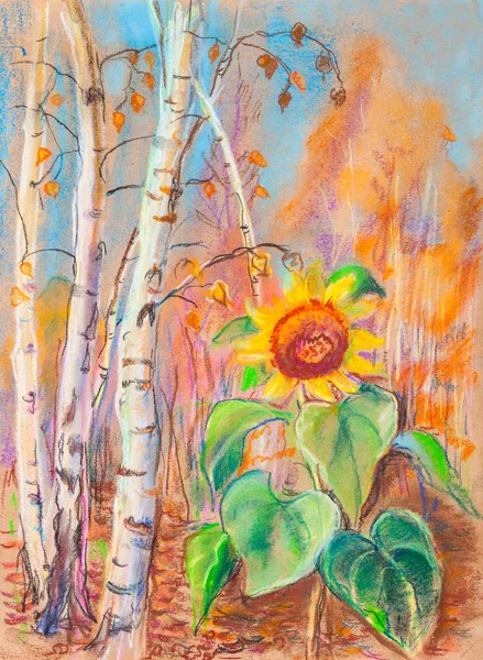 Sonniger Morgen Herbstlandschaft Mit Sonnenblumen — Stockfoto