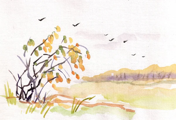 Paysage Automne Aquarelle Avec Buisson Jaune Bois Loin — Photo