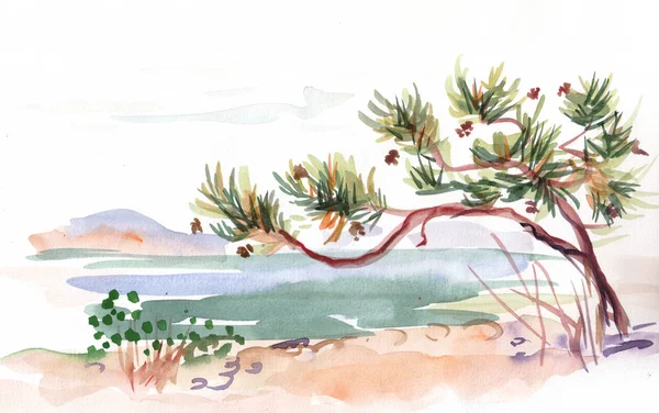 Paysage Aquarelle Avec Pin Près Mer — Photo