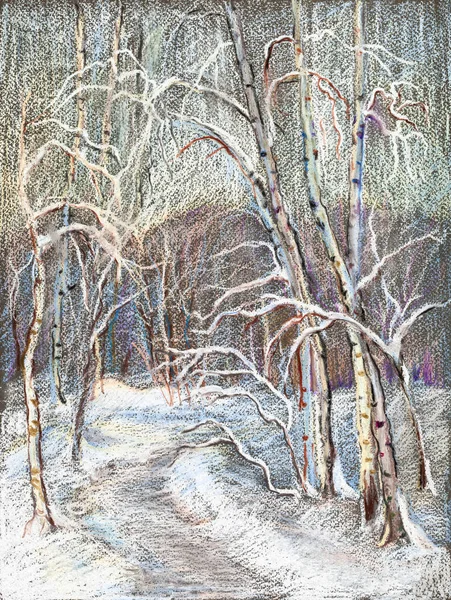 winter landscape with footpath in park