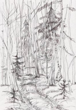 Bahar ormanında kırsal eski yol