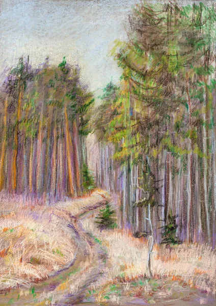 spring, rural road in coniferous forest, april