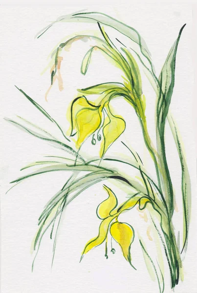 Flowering Wild Yellow Irises Ink Wash Painting — Stock Photo, Image