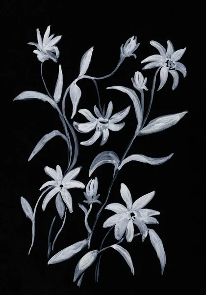 Virágzó Rutbeckia Virágágyásban Minta Fekete Papíron — Stock Fotó