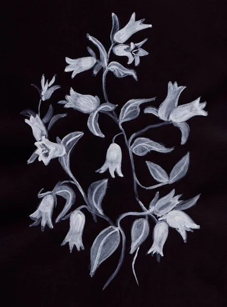 花壇に花を咲かせ黒い紙に絵を描く — ストック写真