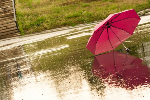 Parapluie Rose Dans Flaque — Photo