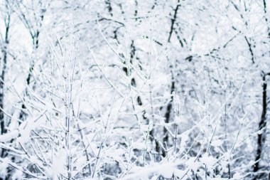 Noel zamanı güzel kış sezon sahnede