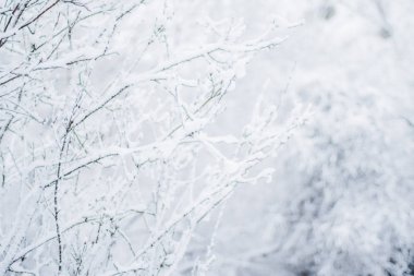 Noel zamanı güzel kış sezon sahnede