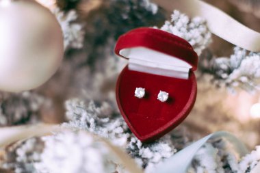 Zarif dimond mücevherler, onun için mükemmel bir tatil hediye Noel