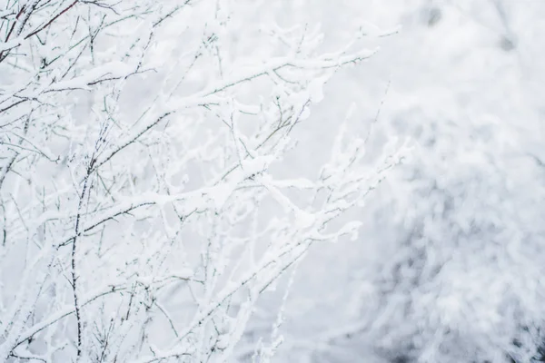 Noel zamanı güzel kış sezon sahnede